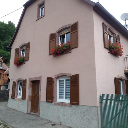 Cheznousenalsace Διαμέρισμα Lautenbach Εξωτερικό φωτογραφία